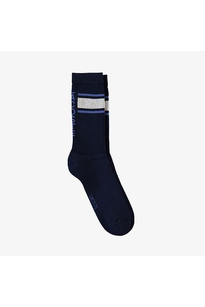 Lacoste Men's Color Blocked Navy Blue Socks