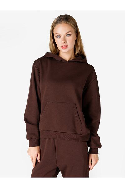 Colin's Brown Regular Fit Hooded Women's Sweatshirt
