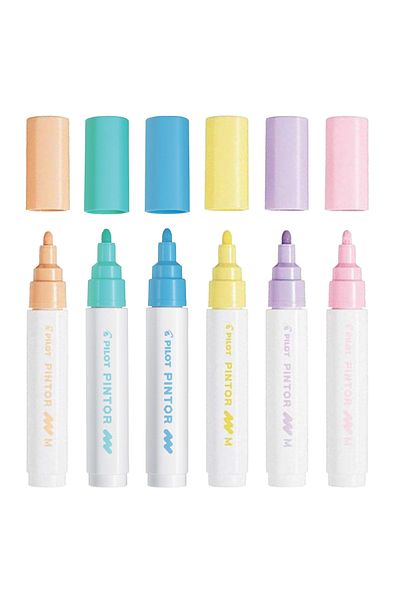 Pilot Pintor Marker Pen M Nib Set of 6 Pastel Colors