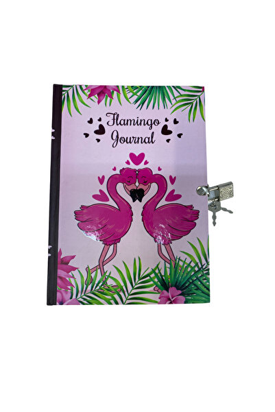 anonim Kilitli Defter & Kilitli Günlük