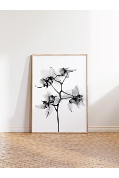 Postifull Estetik Duvar Posteri - Çerçevesiz Poster - Oda Dekoru - Mutfak, Sa...