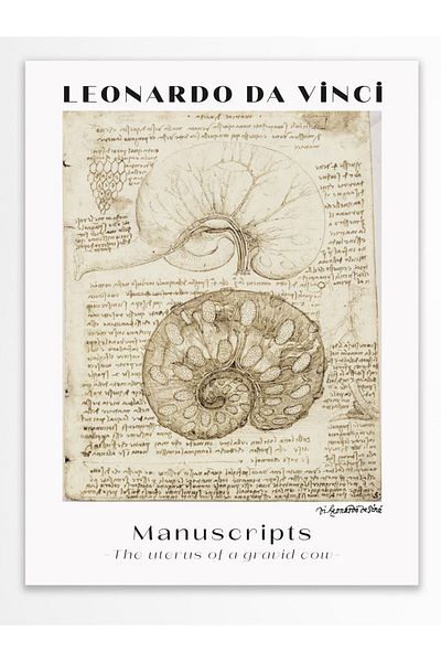 Postifull Αφίσα τοίχου Leonardo Da Vinci - Σειρά Art - Χοντρό χαρτί - Χωρίς πλαίσιο
