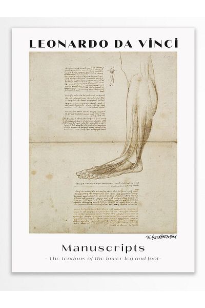Postifull Αφίσα τοίχου Leonardo Da Vinci - Σειρά Art - Χοντρό χαρτί - Χωρίς πλαίσιο