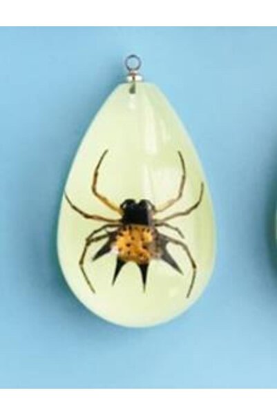 Profisher Damla Reçine Içinde Gerçek Yengeç Örümcek Kolye Ayarlanabilir Örgü Ip Fosforlu
