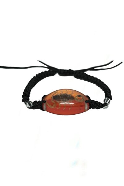 Profisher Damla Reçine Içinde Gerçek 6 Buğum Akrep Bileklik Ayarlanabilir Örgü Ip Reçine