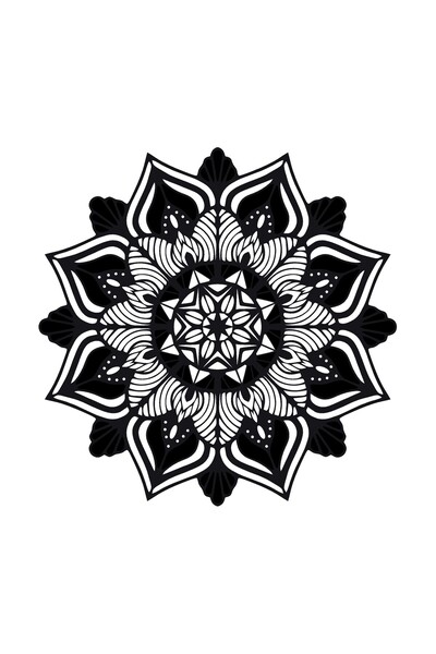 Generic Brand Byr002 Flower Pattern (Type 1) 40X40 cm [Efsngrck]