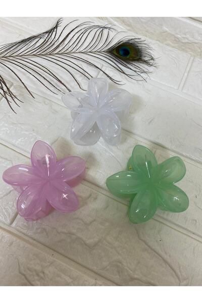 sema aksesuar Catarama cu flori de lotus transparenta 3 piese - Catarama pent...