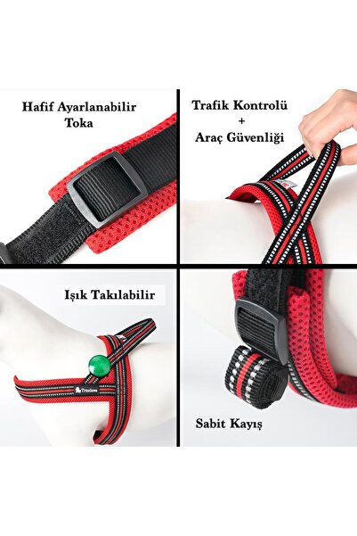 True Love Yumuşak Süngerli, Mavi Mesh Göğüs Tasması