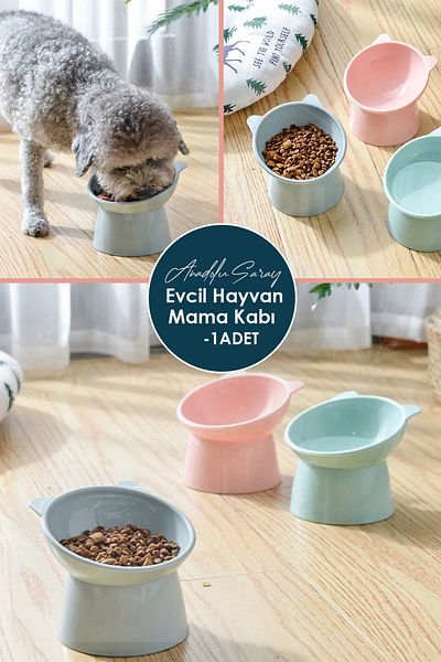 Anadolu Saray Hard Plastic Cute Cat Dog Food Bowl |   Pet Special Food Bowl Neck Protector Food Bowl