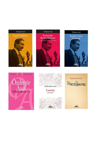 Yapı Kredi Yayınları Çiçek Senfonisi Kırılmadık Bir Şey Kalmadı Benden Sonra Mutluluk Dokuza Kadar On Lavinia Yalnızlık p