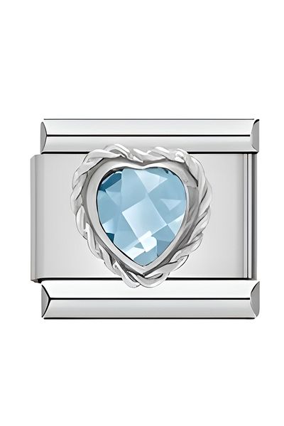 RoseCo00 Steel Italian Charm Bracelet Charm