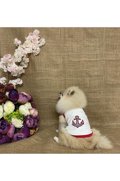 MARİA PET FASHİON Dog & Cat Outfit & Dress & Athlete & T-Shirt