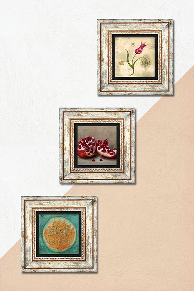 Pinecone Lotus Flower, Tulip Marbling Art, Pomegranate Stone Wall Painting Framed Wall Decor Set of 3 Paintings Tk3-1630