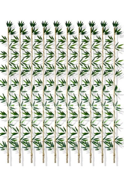 Cihan Çiçekçilik Yapay Yapraklı Dekoratif Bambu Çubuğu 220 Cm 10Adet Islak Doku