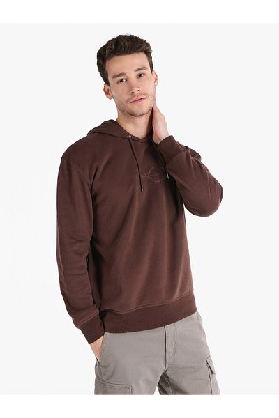 Colin's Brown Men's Sweatshirt - Regular Fit, Hooded and Printed