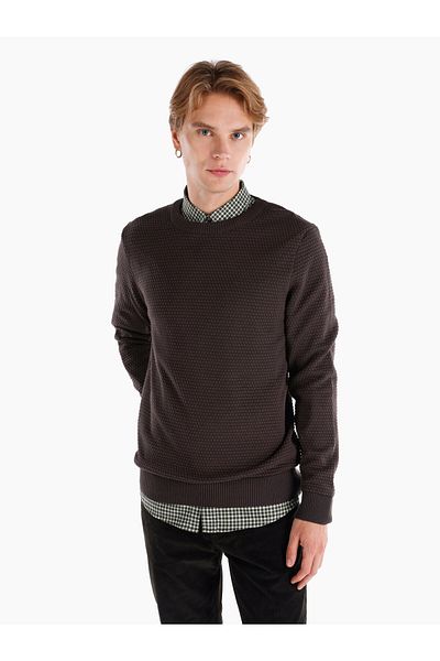 Colin's Hanorac pentru bărbați - Regular Fit, Crew Deck, maro
