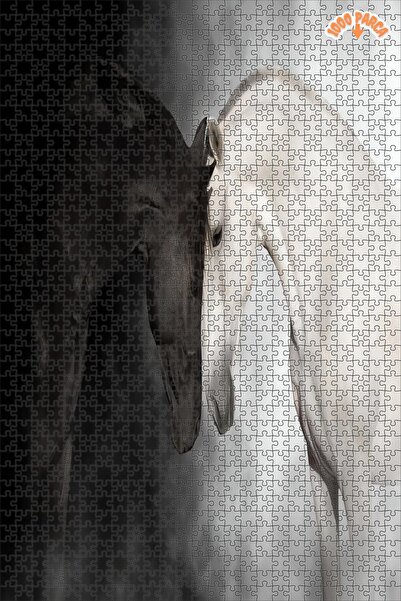 Teona Ahşap Modern Soyut Siyah Beyaz At Atlar Duvar Çerçeveli Asılabilir Ahşap Puzzle 1000 PARÇA 50X70