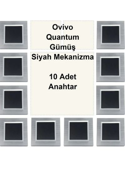 OVİVO Asyagrup Ovivo Quantum Silver Frame, Black Switch - 10 Pieces