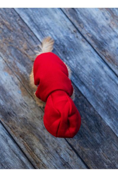 HKEVCİLPET Cat Dog Jacket Coat Windproof