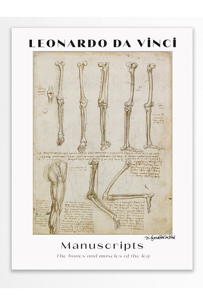 Postifull Αφίσα τοίχου Leonardo Da Vinci - Σειρά Art - Χοντρό χαρτί - Χωρίς πλαίσιο