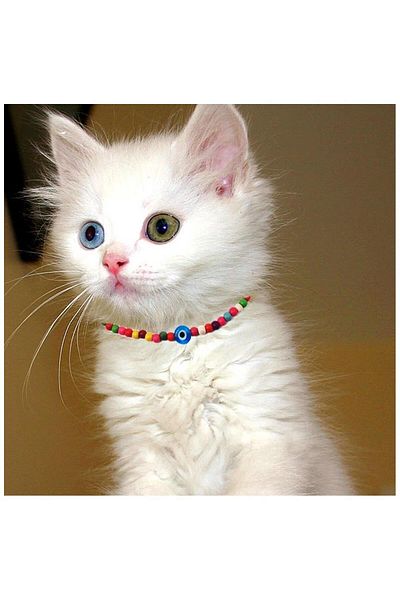Bijustore Mixed Color Bamboo Bead Evil Eye Beaded Cat Collar