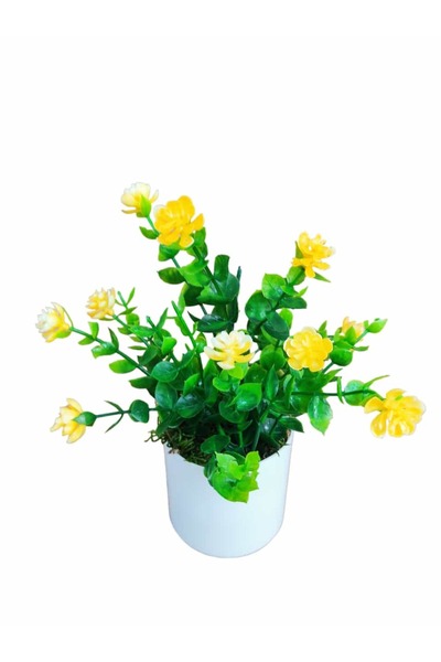 Cennet Home Mineli şimşir masaüstü dekoratif beyaz saksıda yapay çiçek