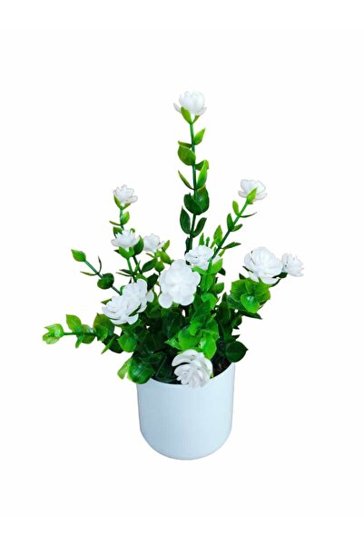 Cennet Home Mineli şimşir masaüstü dekoratif beyaz saksıda yapay çiçek