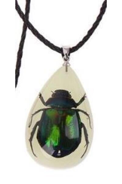 Profisher Damla Reçine Içinde Gerçek Altın Böceği Kolye Ayarlanabilir Örgü Ip...