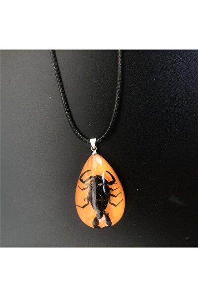 Profisher Damla Reçine Içinde Gerçek 6 Buğum Akrep Kolye Ayarlanabilir Örgü Ip Kumlu