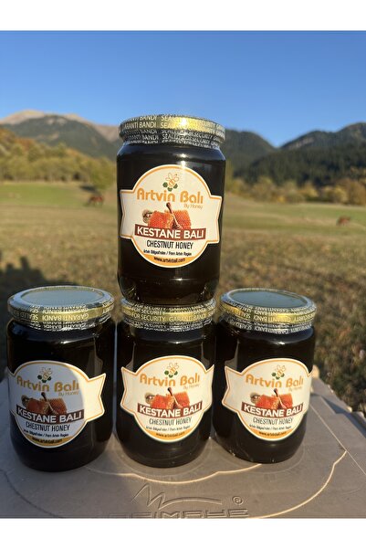 Artvin Balı - Bal Düşkünü - Kestane Balı 3800 gr