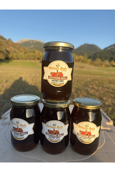 Artvin Balı - Bal Düşkünü Mini - Kestane 1940 gr