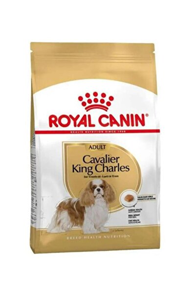 Royal Canin Cavaer King Charles Yetişkin Kuru Köpek Maması 1,5 Kg
