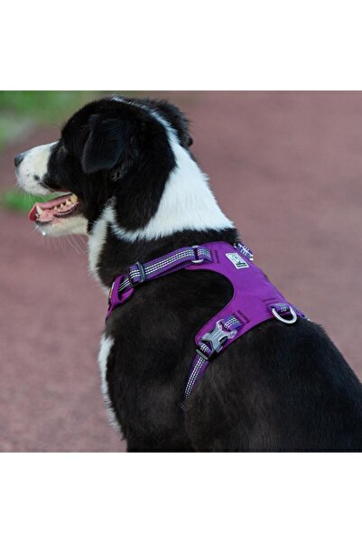 True Love Cordura Kumaşlı, Suya Dayanıklı Mor Göğüs Tasması