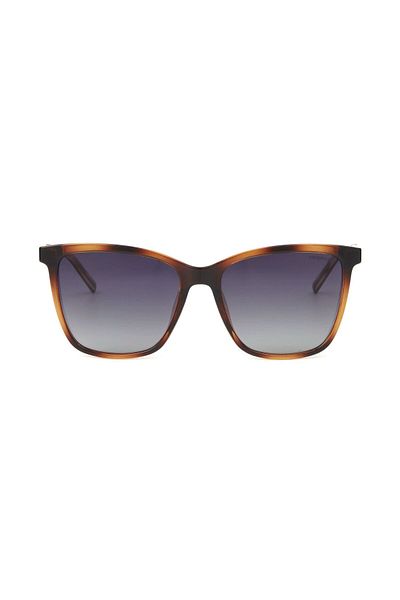 Despada DS 2289 C2 Cat Eye Brown Women's Sunglasses