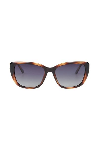 Despada Ds 2303 C3 - Brown Cat Eye Women's Sunglasses