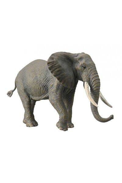 Collecta AFRICA FILI