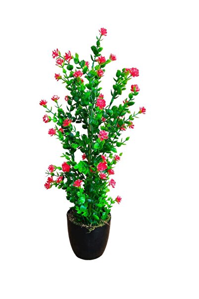 Cennet Home Mineli şimşir Ağacı 50 cm canlı renkli yapay çiçek siyah plastik saksıda