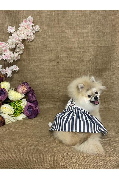 MARİA PET FASHİON Dog & Cat Clothes