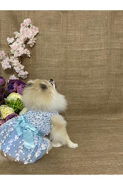 MARİA PET FASHİON Dog & Cat Clothes