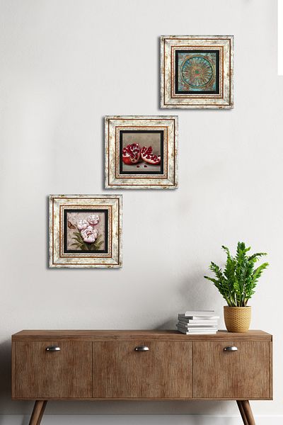Pinecone Flower of Life, Butterfly Flower, Pomegranate Stone Wall Painting Framed Wall Decor Set of 3 Painting Tk3-1247