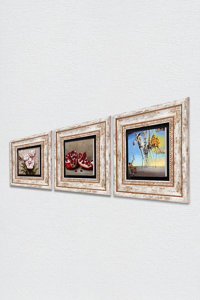 Pinecone Salvador Dali , Flower with Butterfly , Pomegranate Stone Wall Painting Framed Wall Decor Set of 3 Painting Tk3-1279