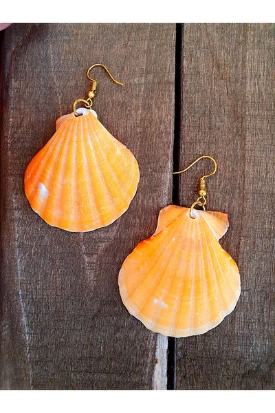 özde dekor Real Oyster / Sea Shell Earrings