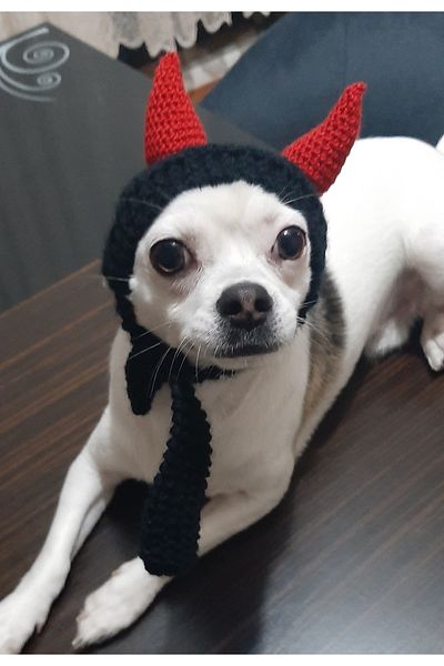 HemaZen Hand Knitted Dog Cat Hat with Devil Ears
