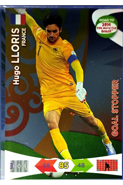 Panini HUGO LLORIS GOAL STOPPER الطريق إلى البرازيل