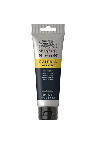 Winsor Newton Winsor & Newton Galeria Akrilik Boya 120 ml Paynes Gray