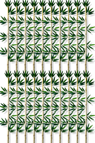 Cihan Çiçekçilik Yapay Yapraklı Dekoratif Bambu Çubuğu 110 Cm 20 Adet Islak Doku