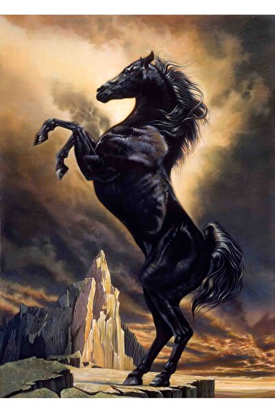 Aden YAĞLI BOYA GÖRÜNÜMLÜ ŞAHA KALKMIŞ AT