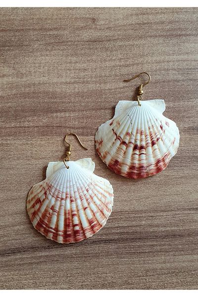 özde dekor Real Oyster / Sea Shell Earrings (GOLD COLOR METAL)
