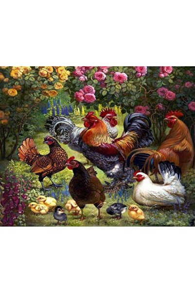 Genel Markalar Bahçedeki Kümes Çerçeveli 70x90 Bul-Boya Seti