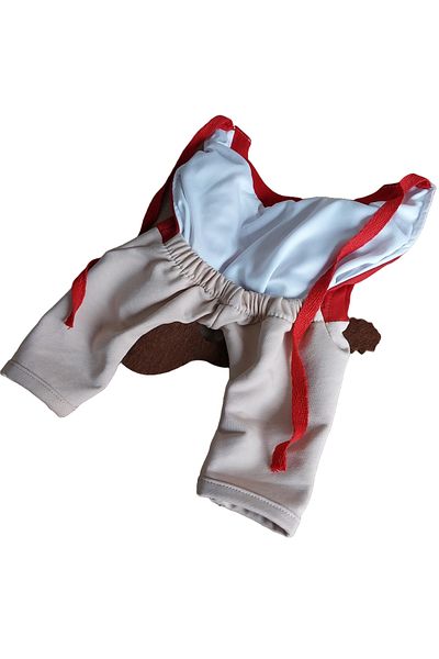 AMORE Crazy Guitarist Cat and Dog Outfit